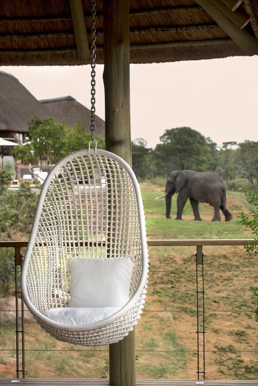 Mhondoro Safari Lodge & Villa Welgevonden Game Reserve Eksteriør billede