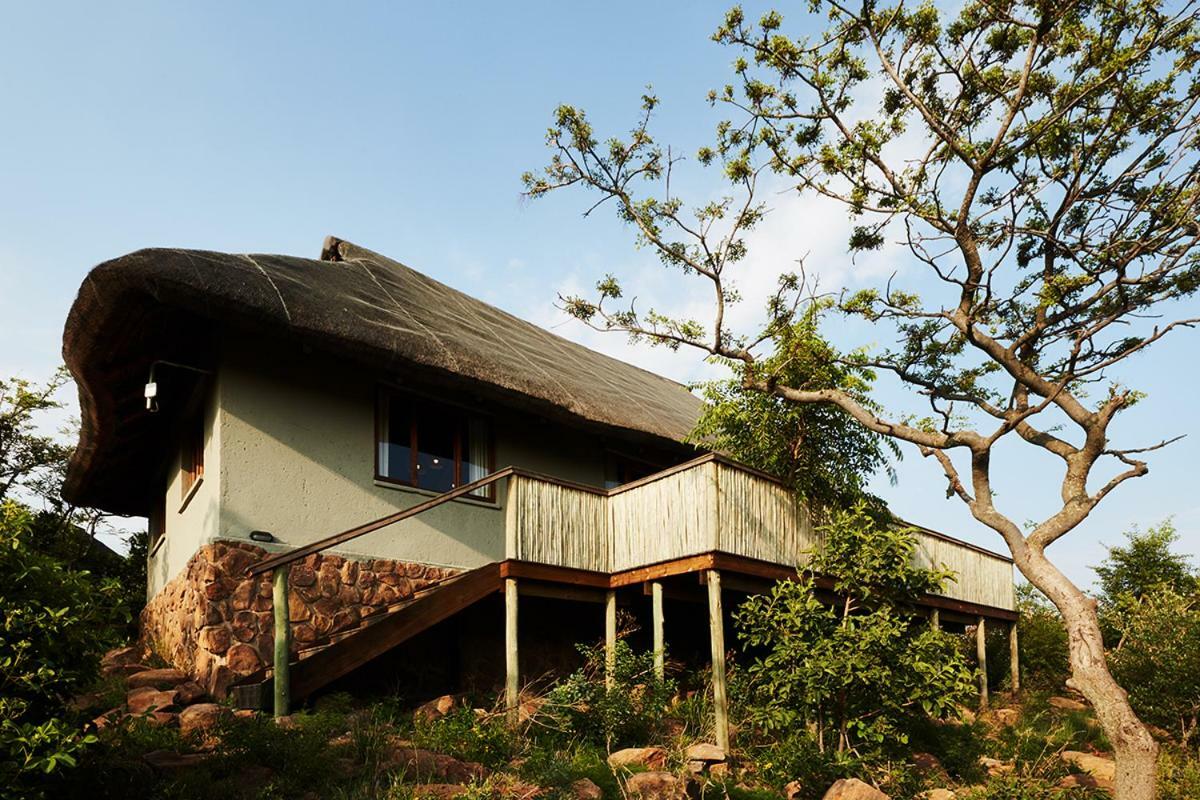 Mhondoro Safari Lodge & Villa Welgevonden Game Reserve Eksteriør billede